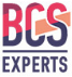 BCS Expert